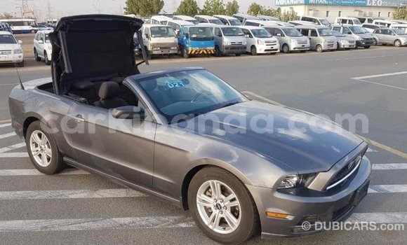 Buy Import Ford Mustang Other Car in Import - Dubai in Uganda Buy Import Ford Mustang Other Car in Import - Dubai in Uganda