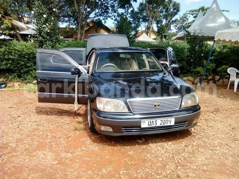 Big with watermark 13495027 1374061522610970 6895204123085341094 n