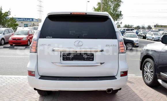 Gura Imported Lexus GX White Imodoka i Import - Dubai mu Uganda Gura Imported Lexus GX White Imodoka i Import - Dubai mu Uganda