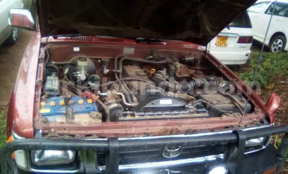 Nunua Mpya Toyota Hilux Nyekundu Gari ndani ya Kampala nchini Uganda Nunua Mpya Toyota Hilux Nyekundu Gari ndani ya Kampala nchini Uganda