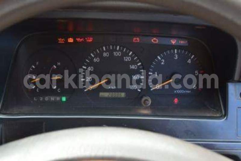 Big with watermark 13466336 10154235172464120 1532648710848190922 n