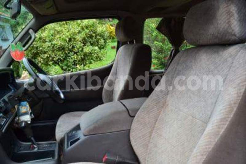 Big with watermark 13537632 10154235172274120 9135459497768849910 n