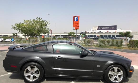 Buy Import Ford Mustang Black Car in Import - Dubai in Uganda Buy Import Ford Mustang Black Car in Import - Dubai in Uganda