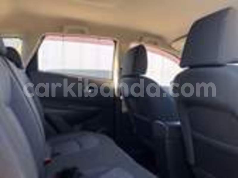 Big with watermark n12