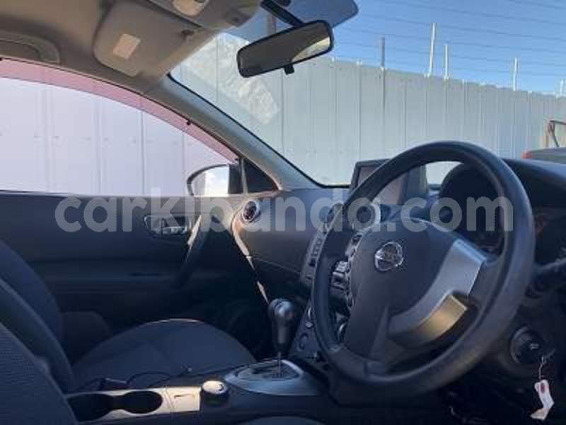 Big with watermark nis7