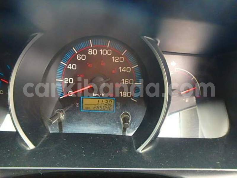 Big with watermark van13