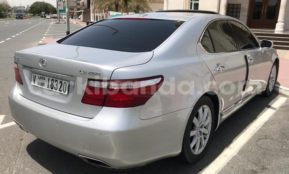 Buy Used Lexus LS Silver Car in Import - Dubai in Uganda Buy Used Lexus LS Silver Car in Import - Dubai in Uganda