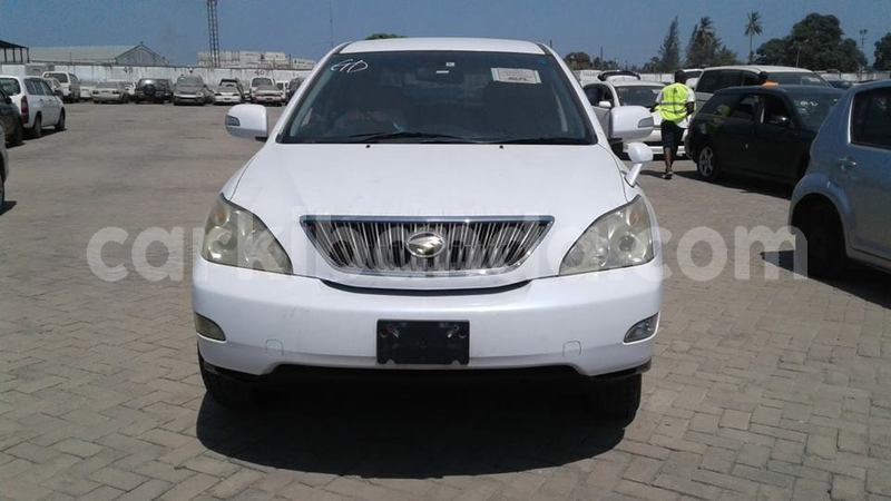 Big with watermark 54523020 626612347779369 5816771464212250624 n