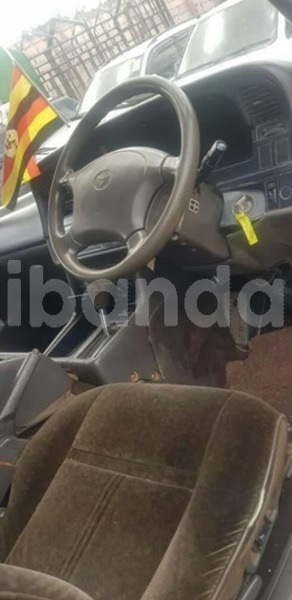 Big with watermark 60196532 121711379030793 7711903411087605760 n