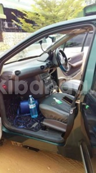 Big with watermark 60537670 121690022366262 8682477943089266688 n