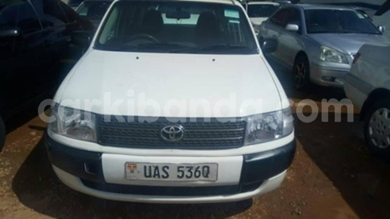 Big with watermark 60237298 121646889037242 7998963030694035456 n