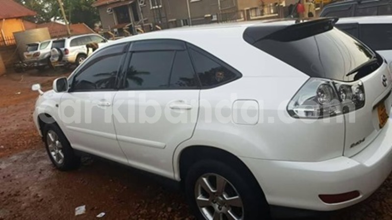 Big with watermark 60553118 121498405718757 842231945600434176 n