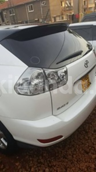 Big with watermark 60621725 121498425718755 4089980322416951296 n