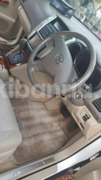 Big with watermark 60184590 121498465718751 4935593850388348928 n