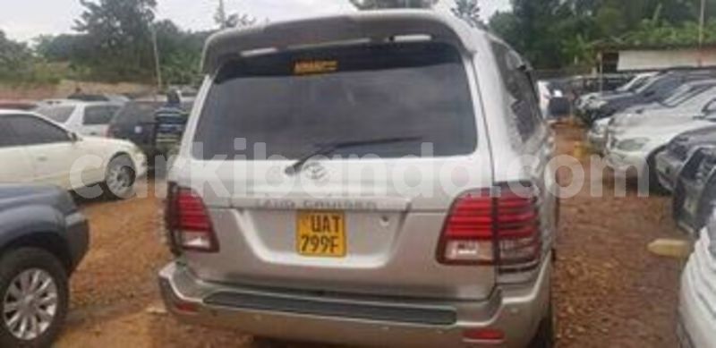 Big with watermark 60265402 121495565719041 5857684949011791872 n