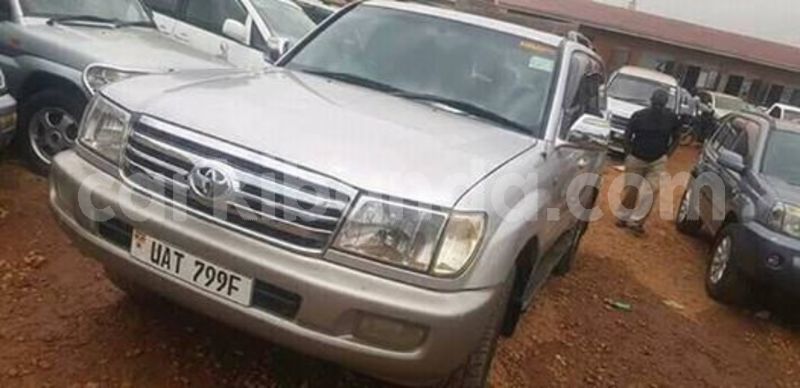 Big with watermark 60137372 121495505719047 6610453846823010304 n