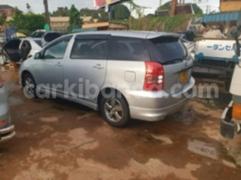 Big with watermark 60344087 121256175742980 7957420719732686848 n