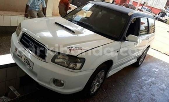 Buy Used Subaru Forester White Car in Kampala in Uganda Buy Used Subaru Forester White Car in Kampala in Uganda