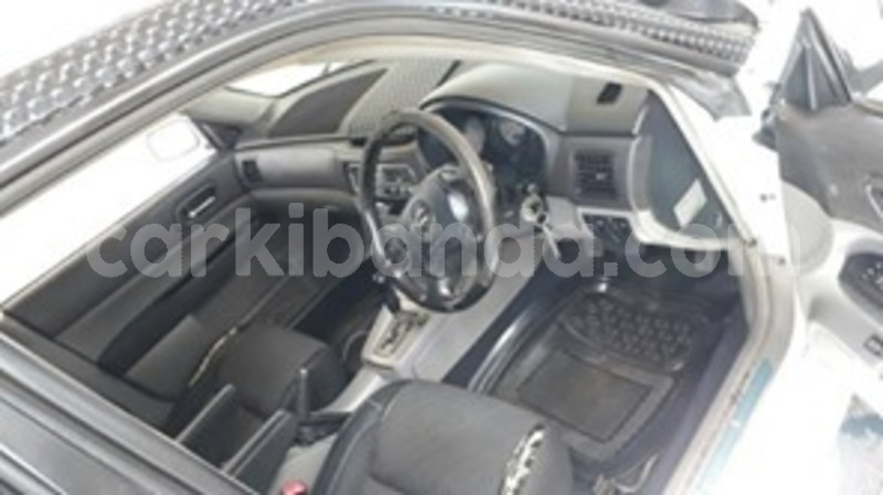 Big with watermark 60285603 120935202441744 8381049716552499200 n