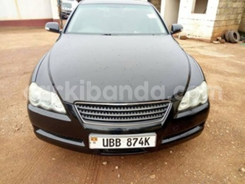 Big with watermark 59857084 120182615850336 1544972128044974080 n