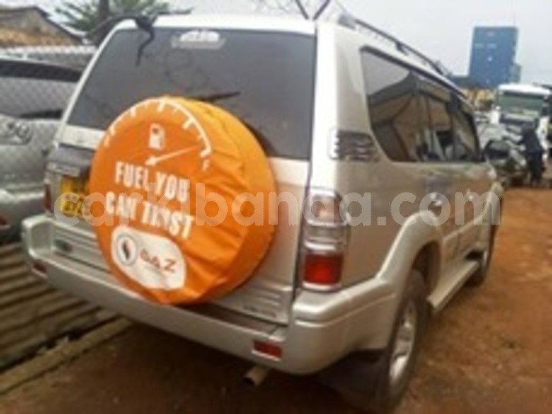 Big with watermark 60341430 120179639183967 2820634559496847360 n