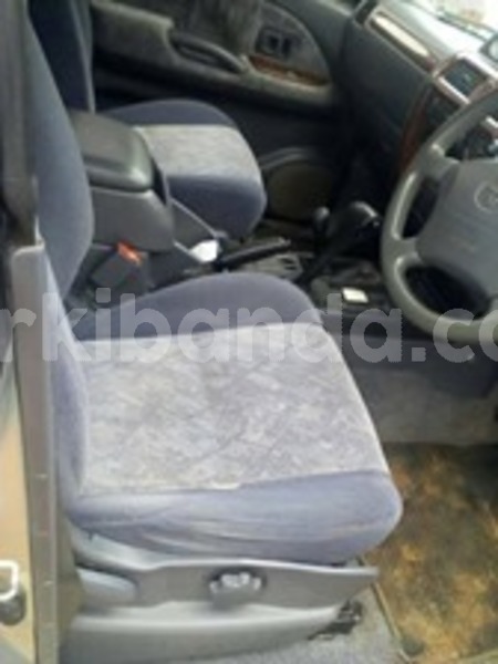 Big with watermark 59919270 120179655850632 2292786510497316864 n