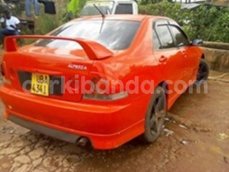 Big with watermark 60185339 120148082520456 2660188166299844608 n