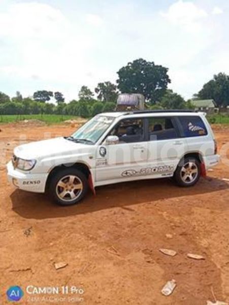 Big with watermark 60238215 119781972557067 3901604517103271936 n