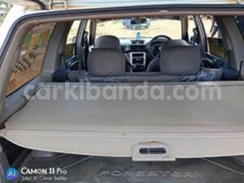 Big with watermark 60120215 119781985890399 4473443893186134016 n