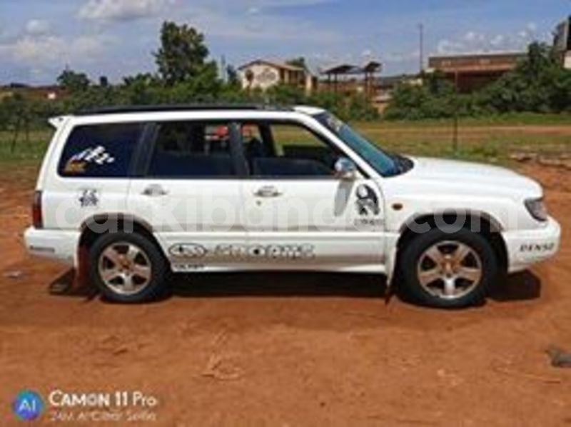 Big with watermark 59788278 119782019223729 6331906968361369600 n