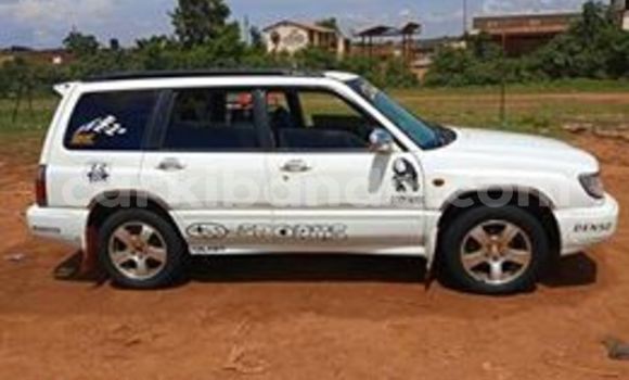 Buy Used Subaru Forester White Car in Kampala in Uganda Buy Used Subaru Forester White Car in Kampala in Uganda