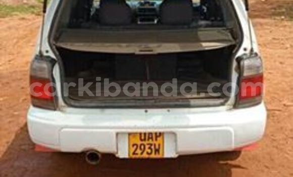 Buy Used Subaru Forester White Car in Kampala in Uganda Buy Used Subaru Forester White Car in Kampala in Uganda