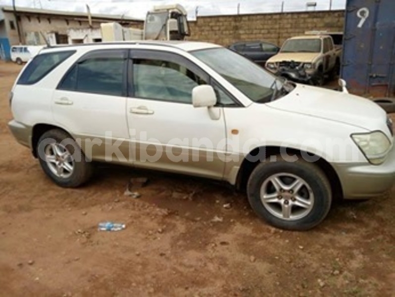 Big with watermark 60083115 119656919236239 2865236635224637440 n