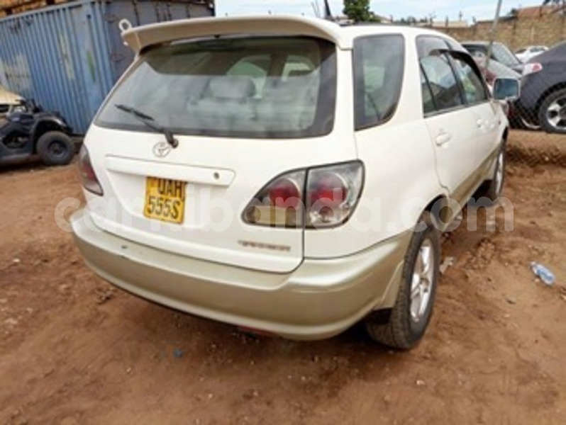 Big with watermark 59796144 119656902569574 8018384576453804032 n