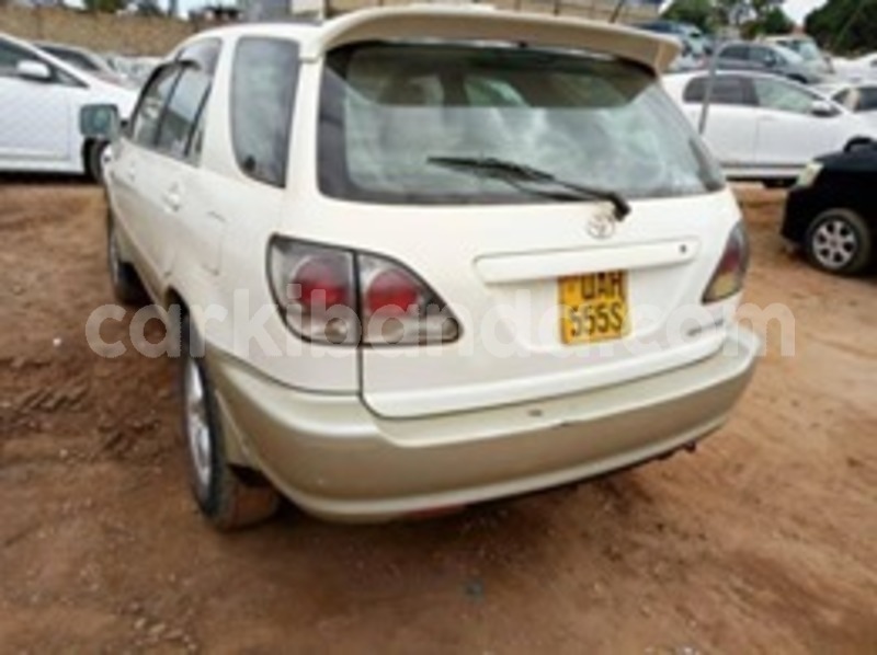 Big with watermark 59852030 119656935902904 3156575064460099584 n