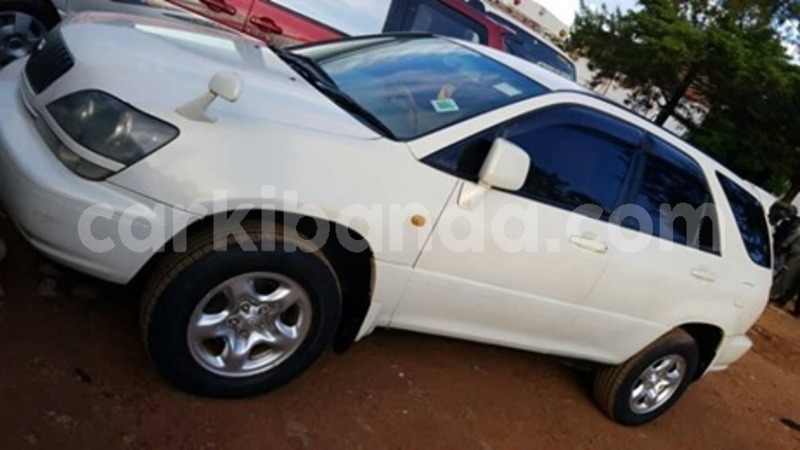 Big with watermark 59925490 119525802582684 525912947189350400 n