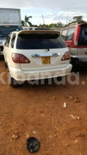 Big with watermark 59932762 119525829249348 8142501546395959296 n