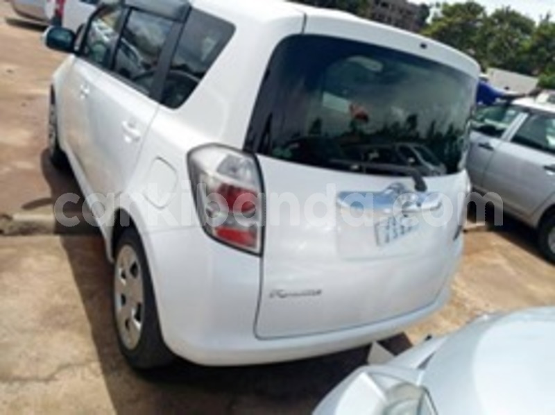 Big with watermark 59700865 119524879249443 2581499391864995840 n