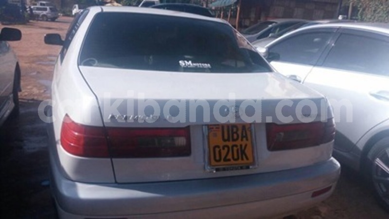 Big with watermark 60311306 119491329252798 1667737901275807744 n