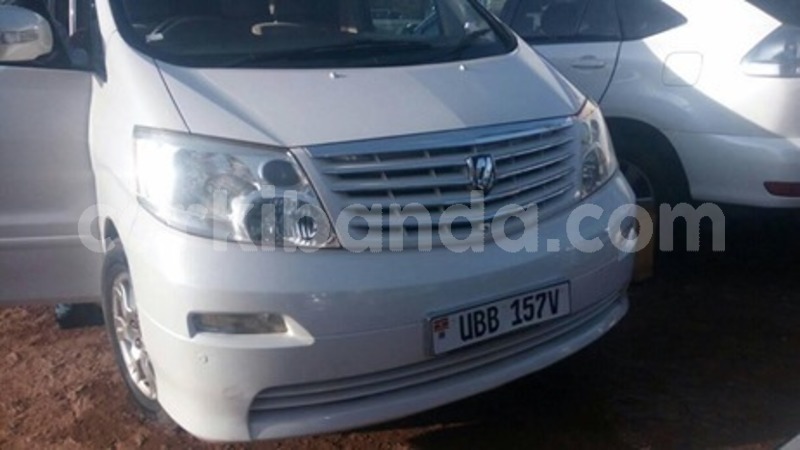 Big with watermark 59876567 119489829252948 2155330776588091392 n