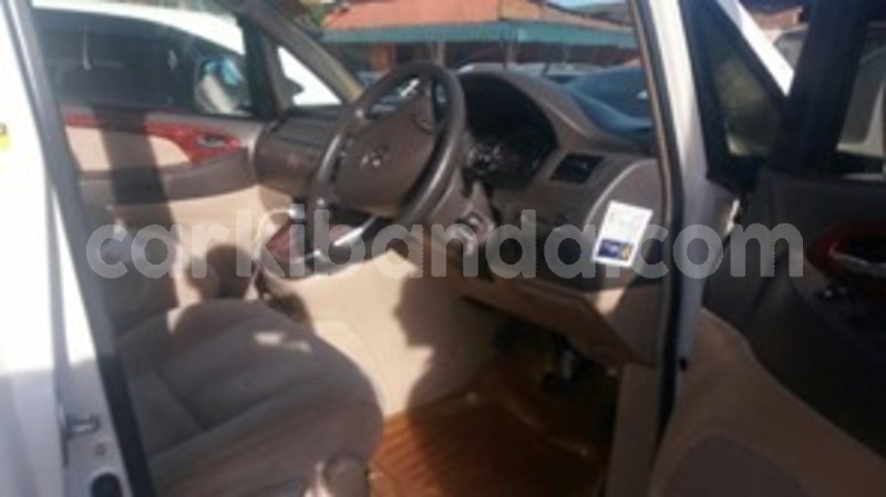 Big with watermark 59677743 119489859252945 4604345820534276096 n