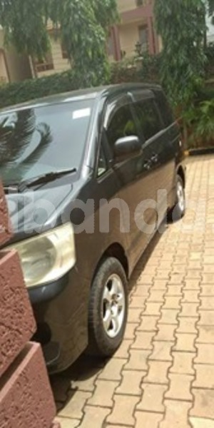 Big with watermark 59681368 119111715957426 5810322497802862592 n