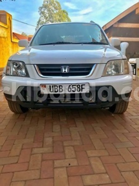 Big with watermark 59765935 119110325957565 3465135423494291456 n