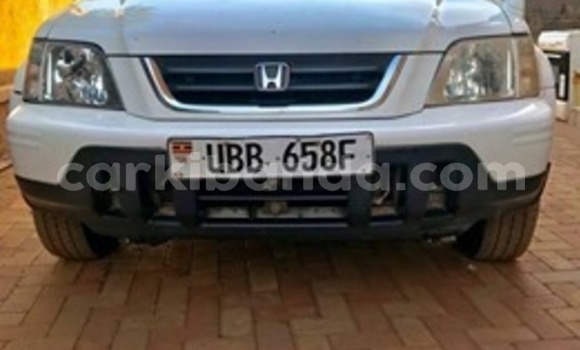 Buy Used Honda CR–V White Car in Kampala in Uganda Buy Used Honda CR–V White Car in Kampala in Uganda