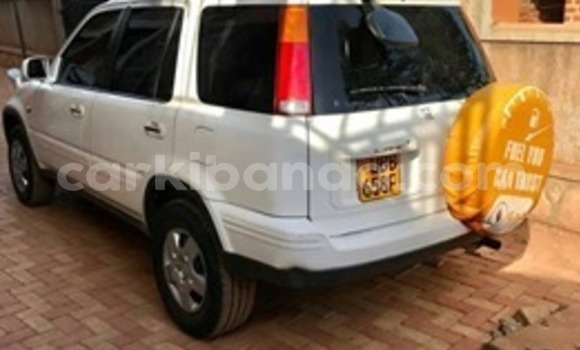Buy Used Honda CR–V White Car in Kampala in Uganda Buy Used Honda CR–V White Car in Kampala in Uganda