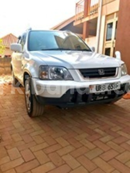 Big with watermark 60276599 119110385957559 9145298082693382144 n