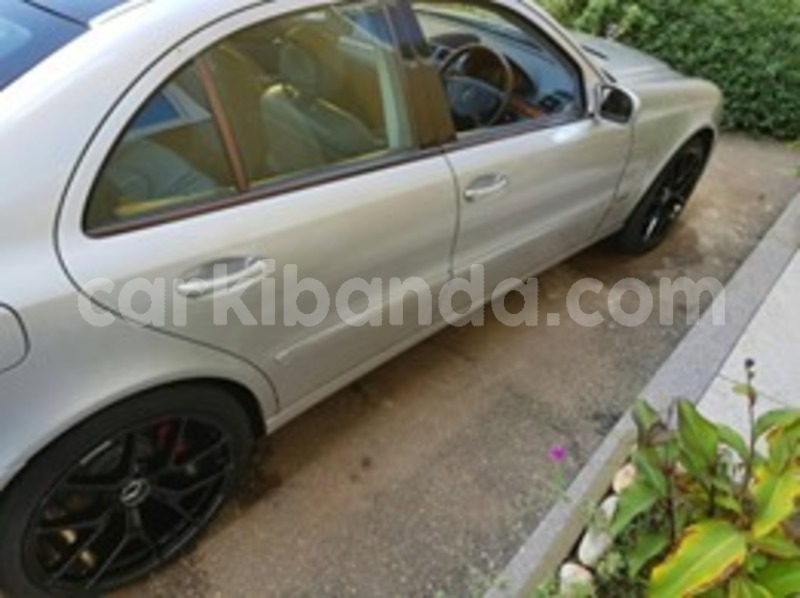 Big with watermark 59550092 118163406052257 8222408141627719680 n