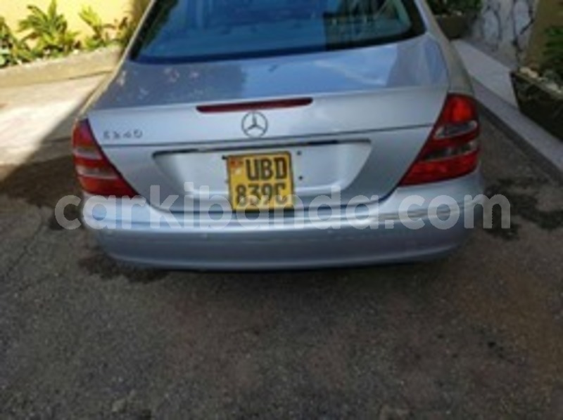 Big with watermark 59476269 118163439385587 6655008785284726784 n