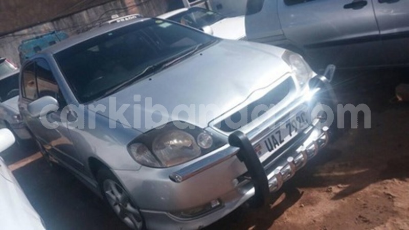 Big with watermark 59317992 118156409386290 4079086949619466240 n