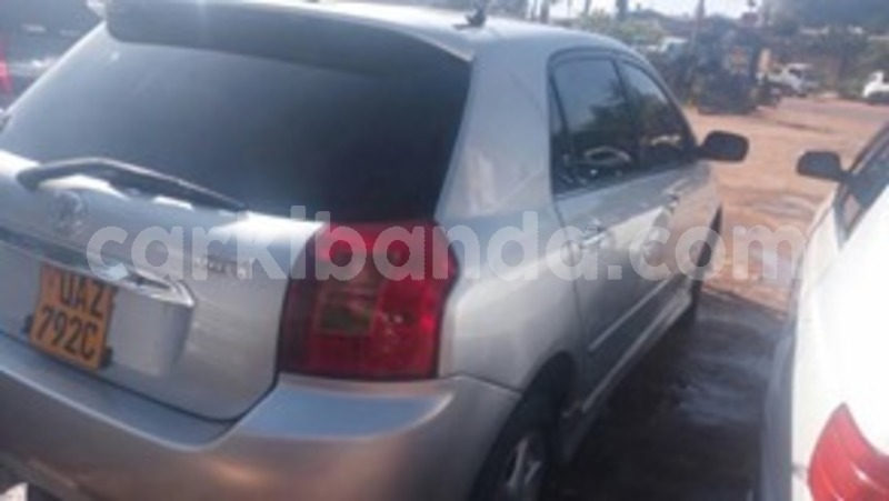 Big with watermark 59337318 118156566052941 5062016831221399552 n